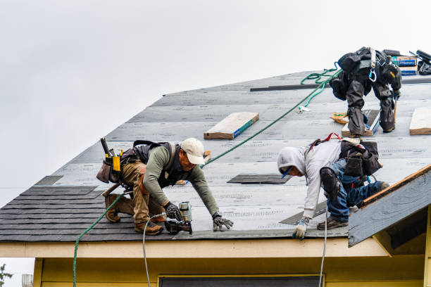 Professional Storm Damage Roof Repair technician working in Hanover, IN